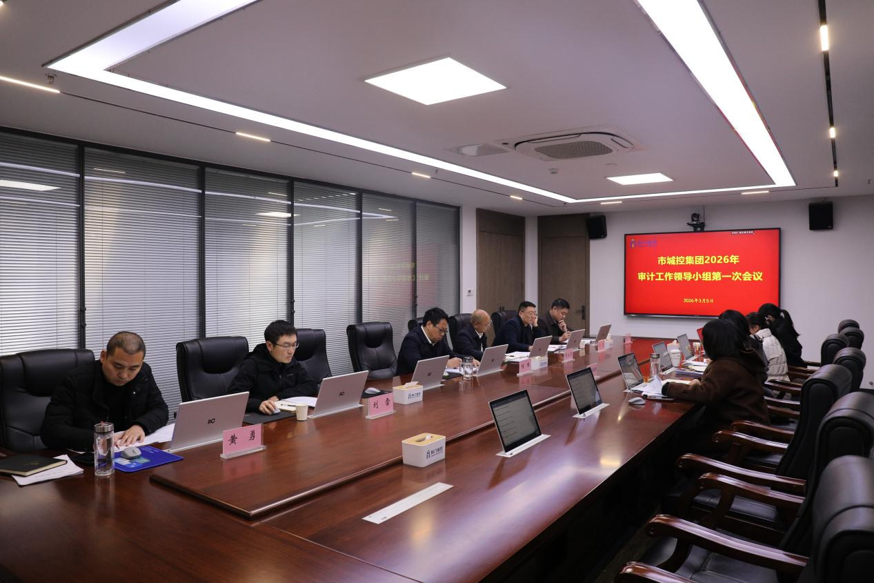 2026年第一次审计小组会议 2026年第一次审计小组会议